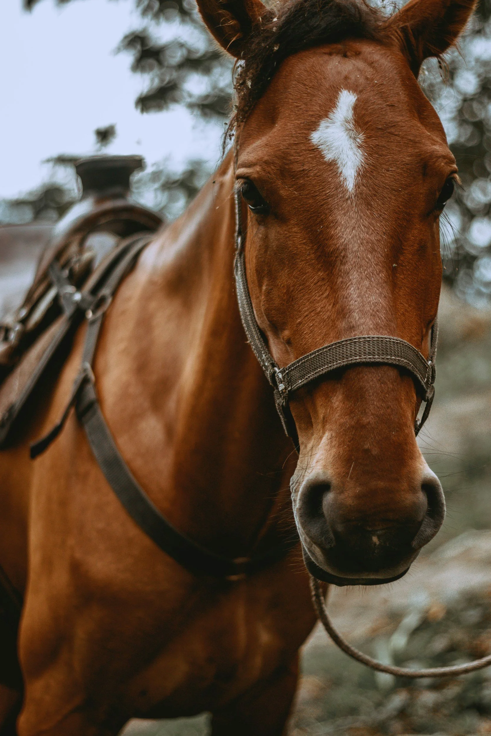 unsplash-image-aCzHLEGgrNY.jpg