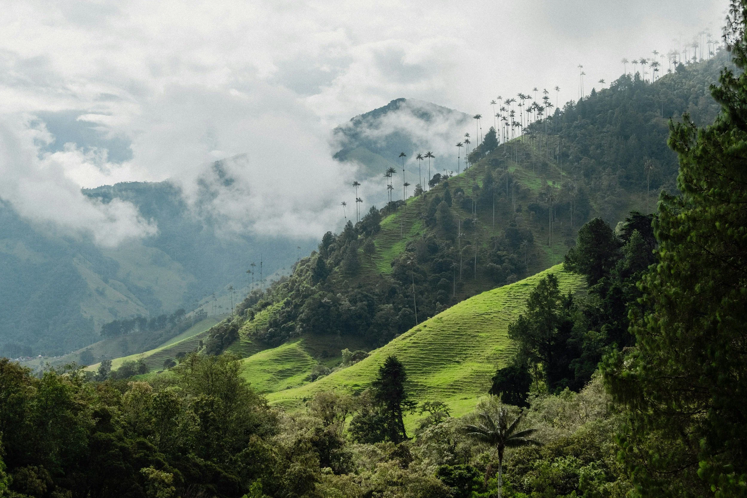 unsplash-image-_2CC45ZO6AI.jpg