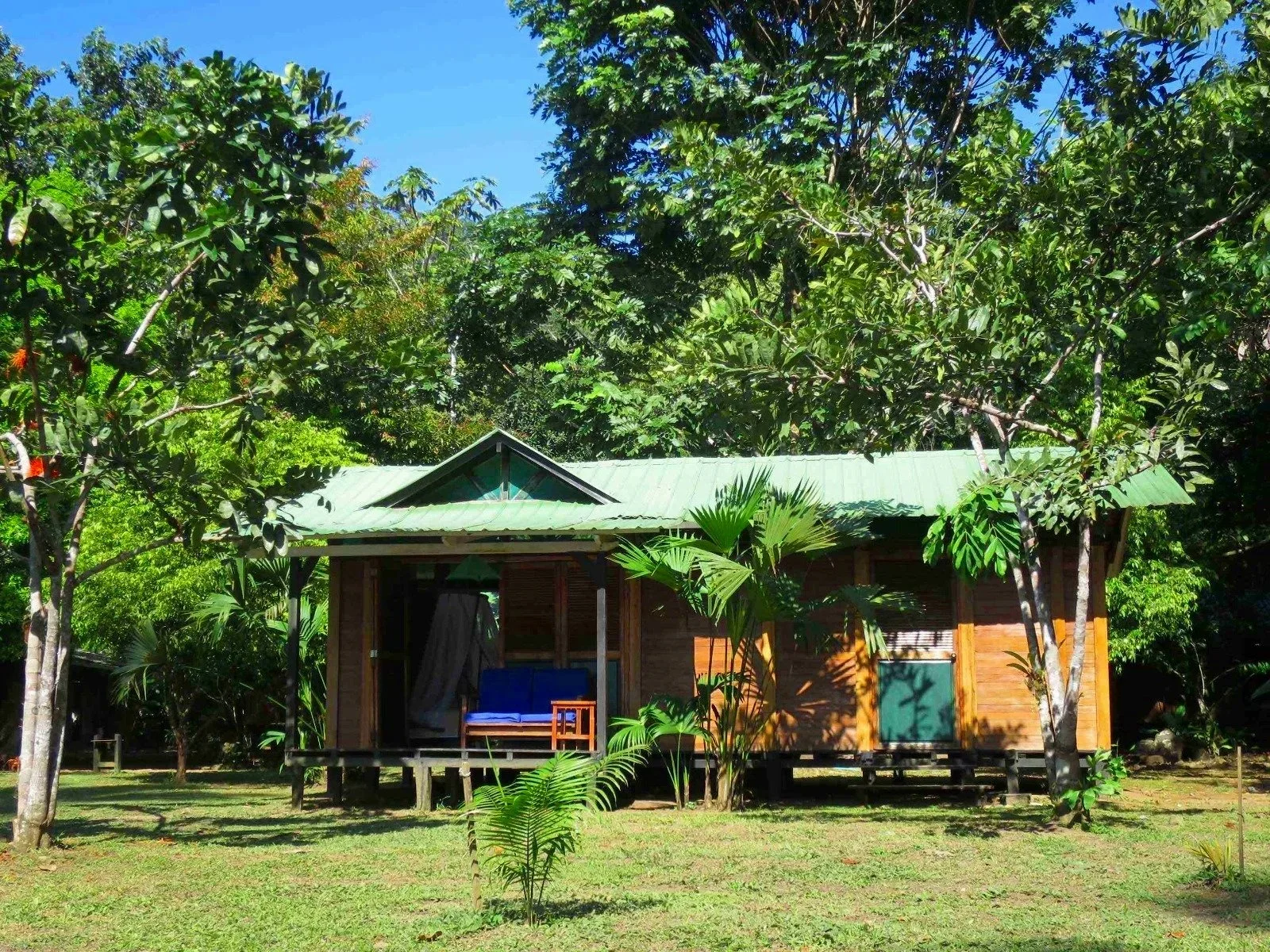 A small wooden house with a green metal roof is surrounded by lush green trees and plants, with a clear blue sky overhead.