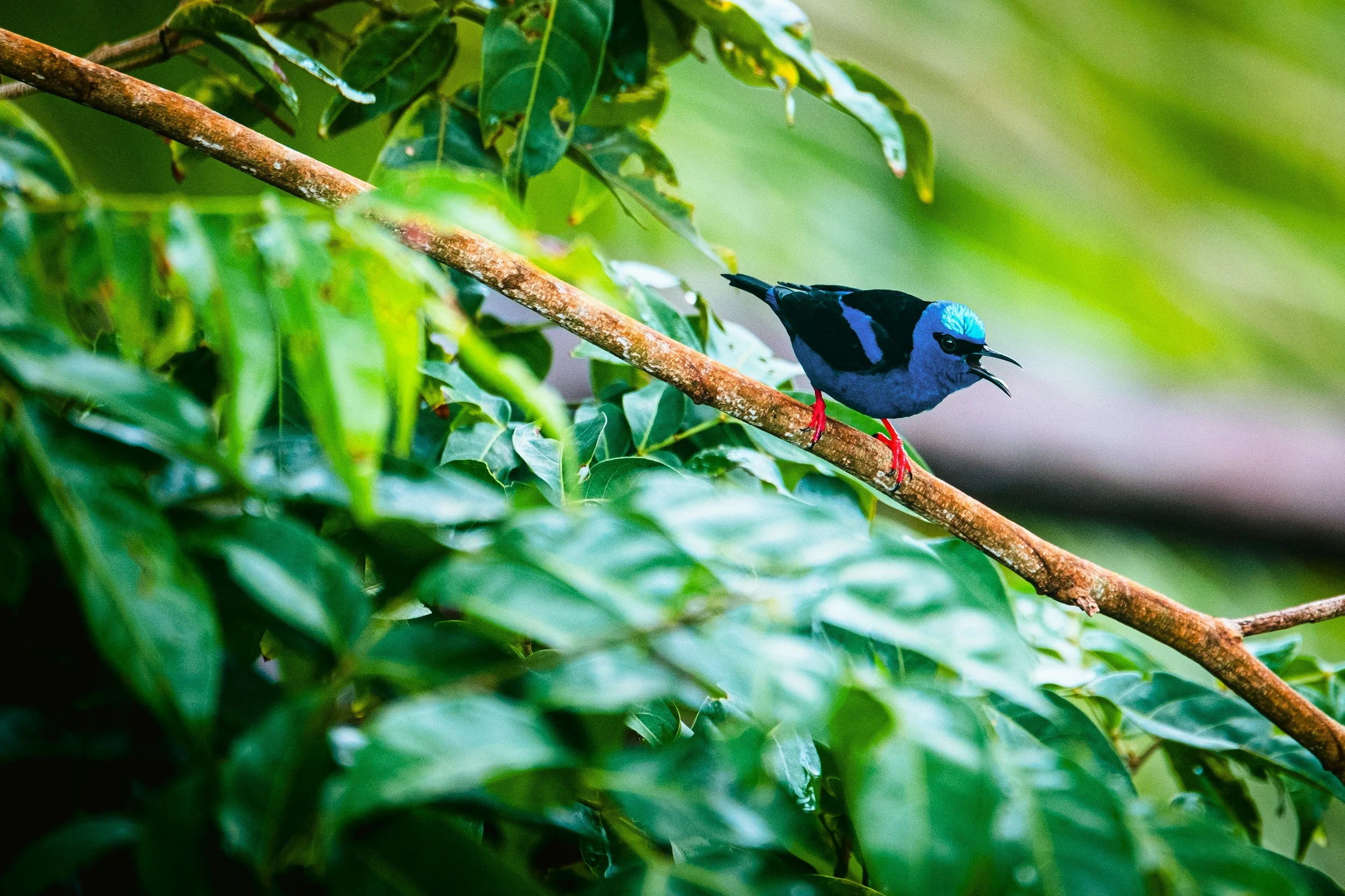 unsplash-image-H2dK8hP3dhE.jpg