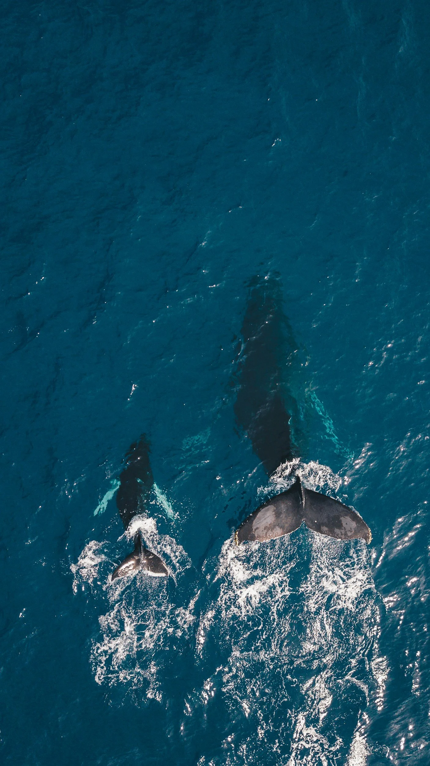 unsplash-image-PO0UHx-5mHo.jpg