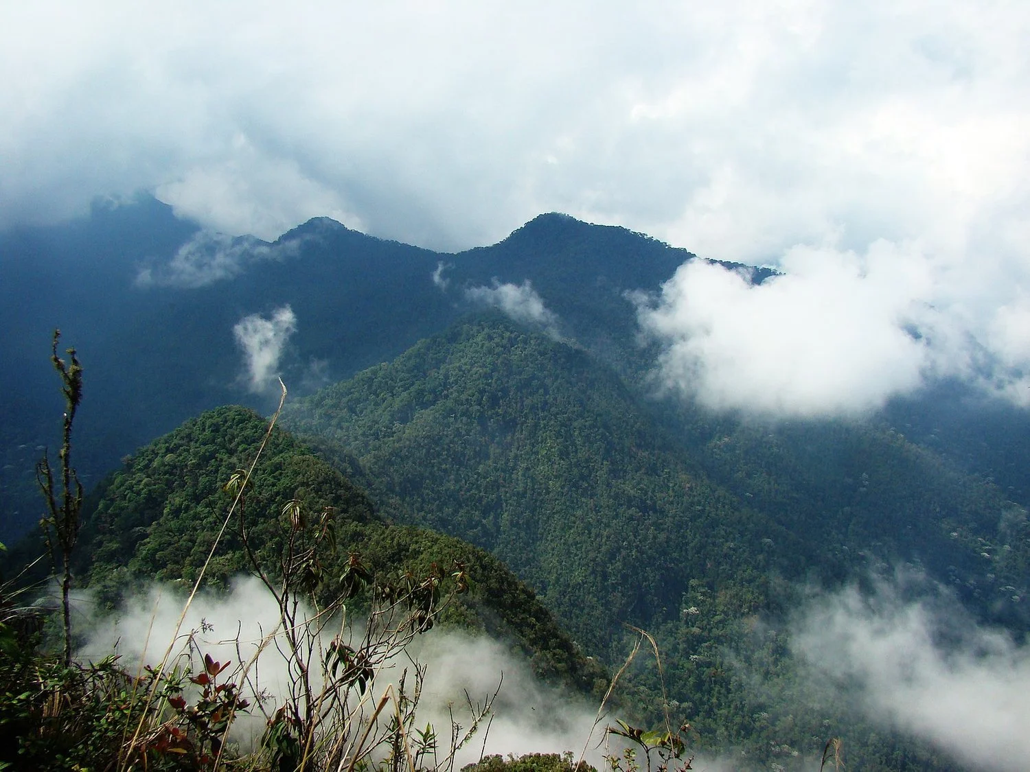 Colombia: Between Biodiversity, Forgotten Regions, and Hope