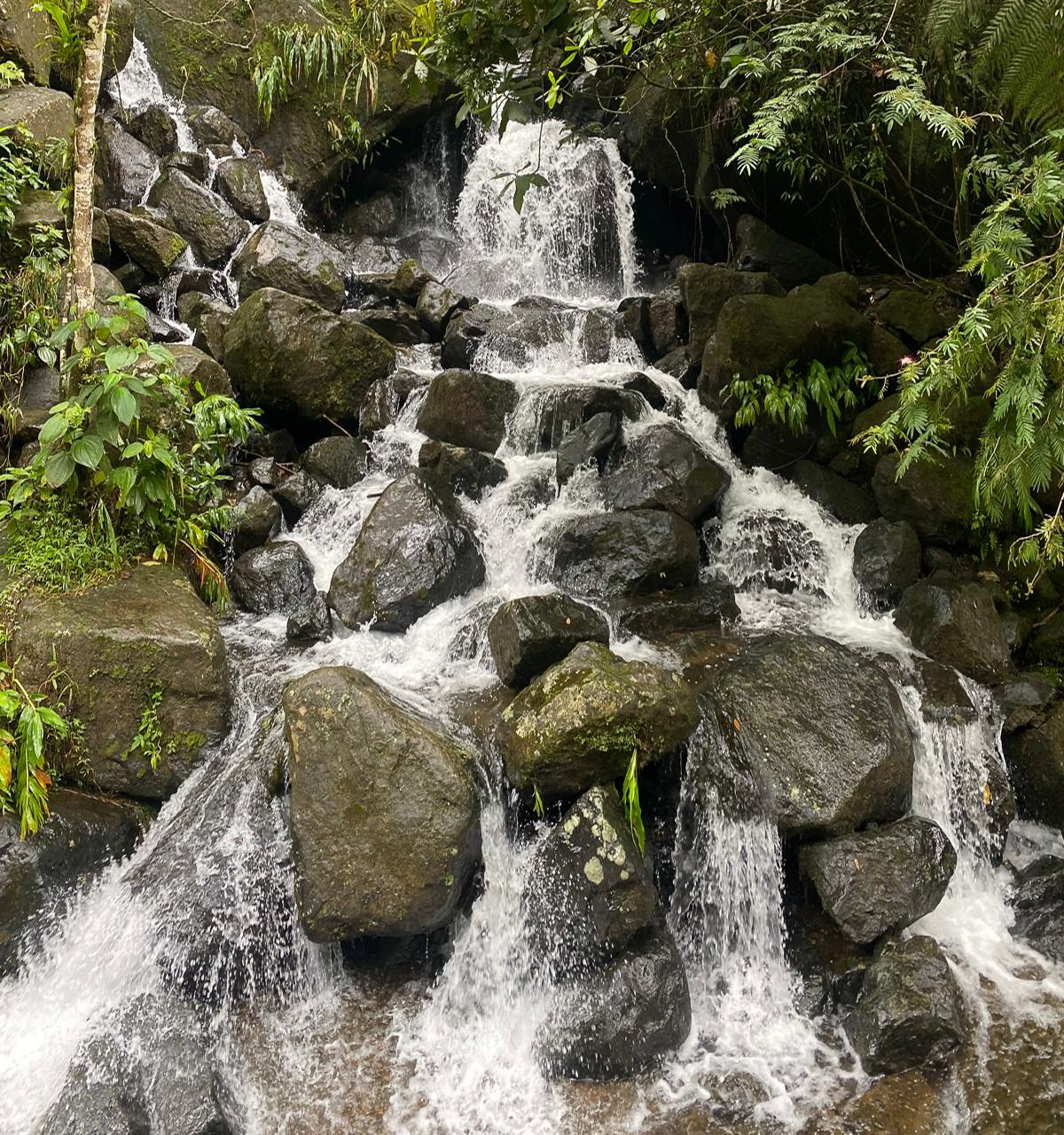 Waterfall Nature Hike Pance El Topacio