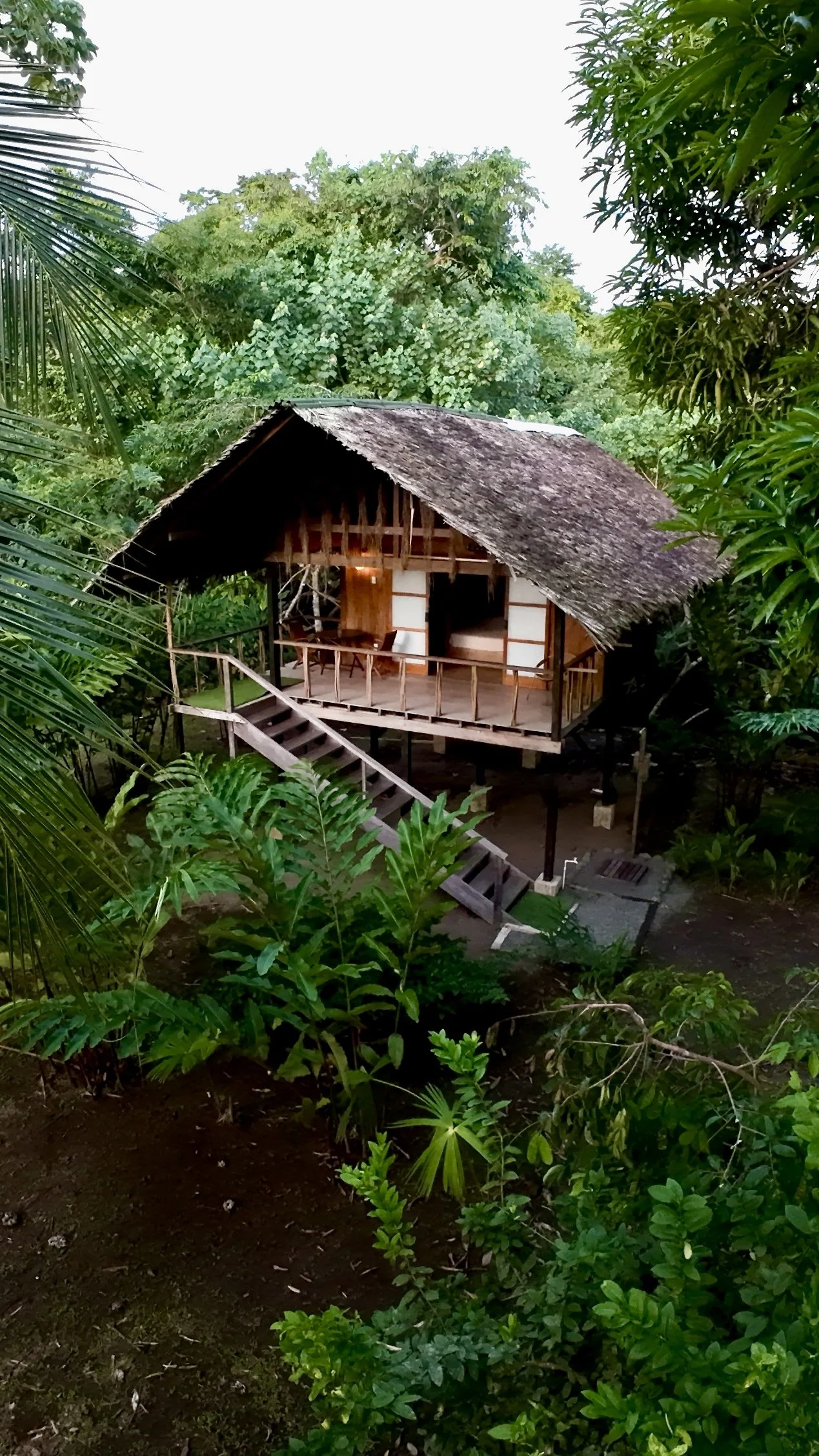 A private ecolodge set deep within the jungles of Chocó