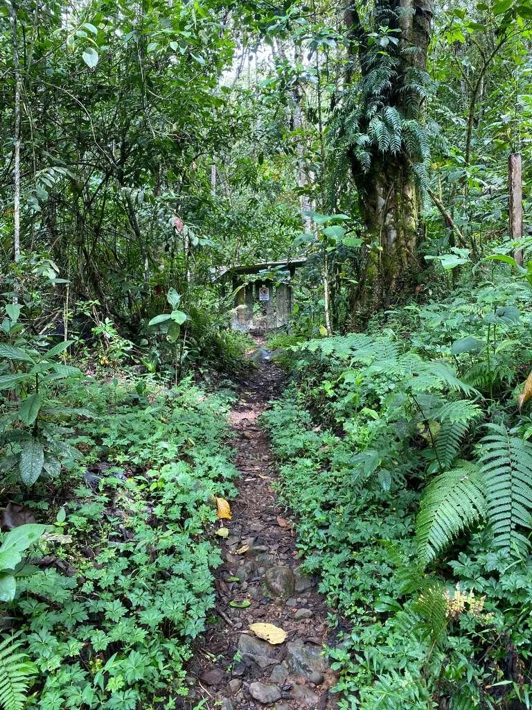 WhatsApp Image 2025-10-28 at 11.38.51.jpeg