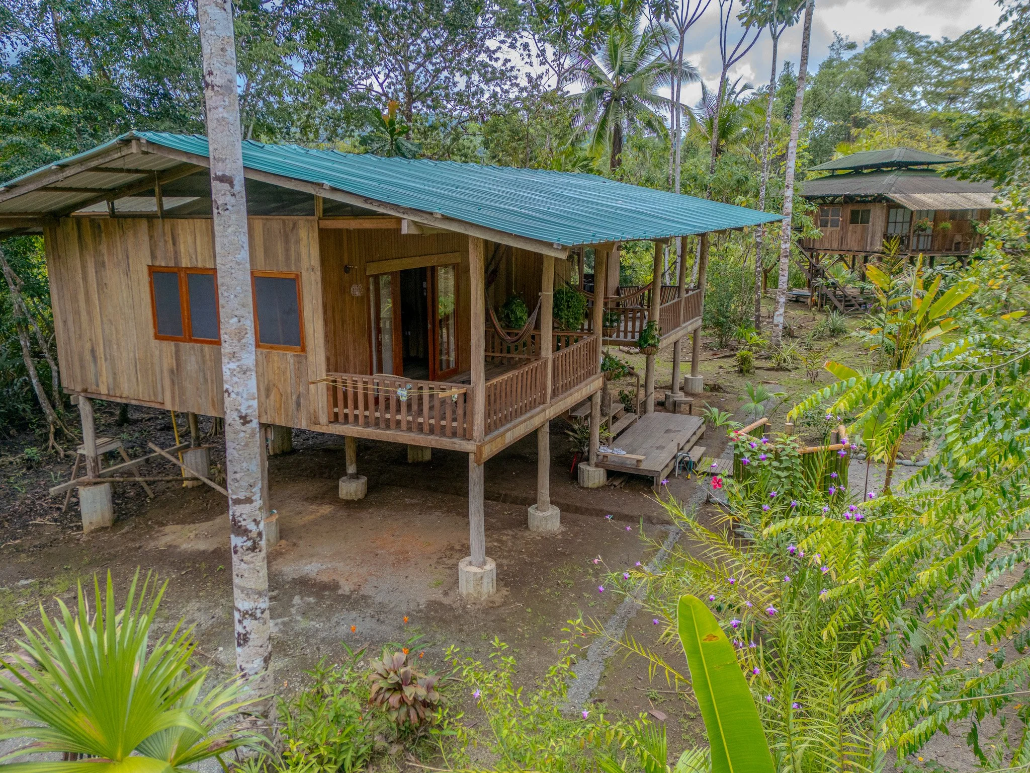 A wooden house built on stilts in a lush tropical forest, with a small staircase leading to a porch, surrounded by green vegetation and flowering plants.