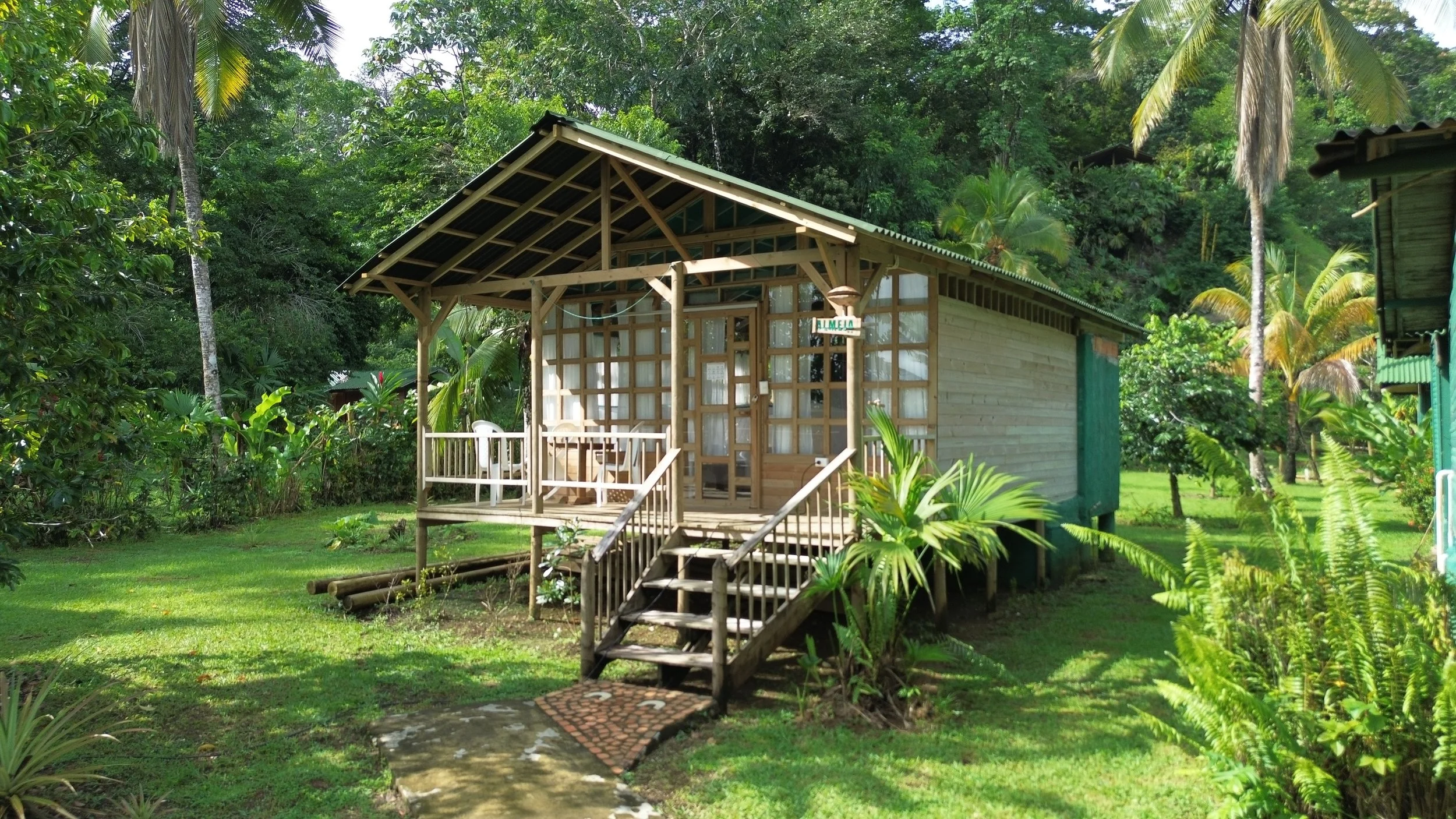 A small wooden house with a front porch and stairs, surrounded by lush greenery and tropical plants, with a forest in the background.