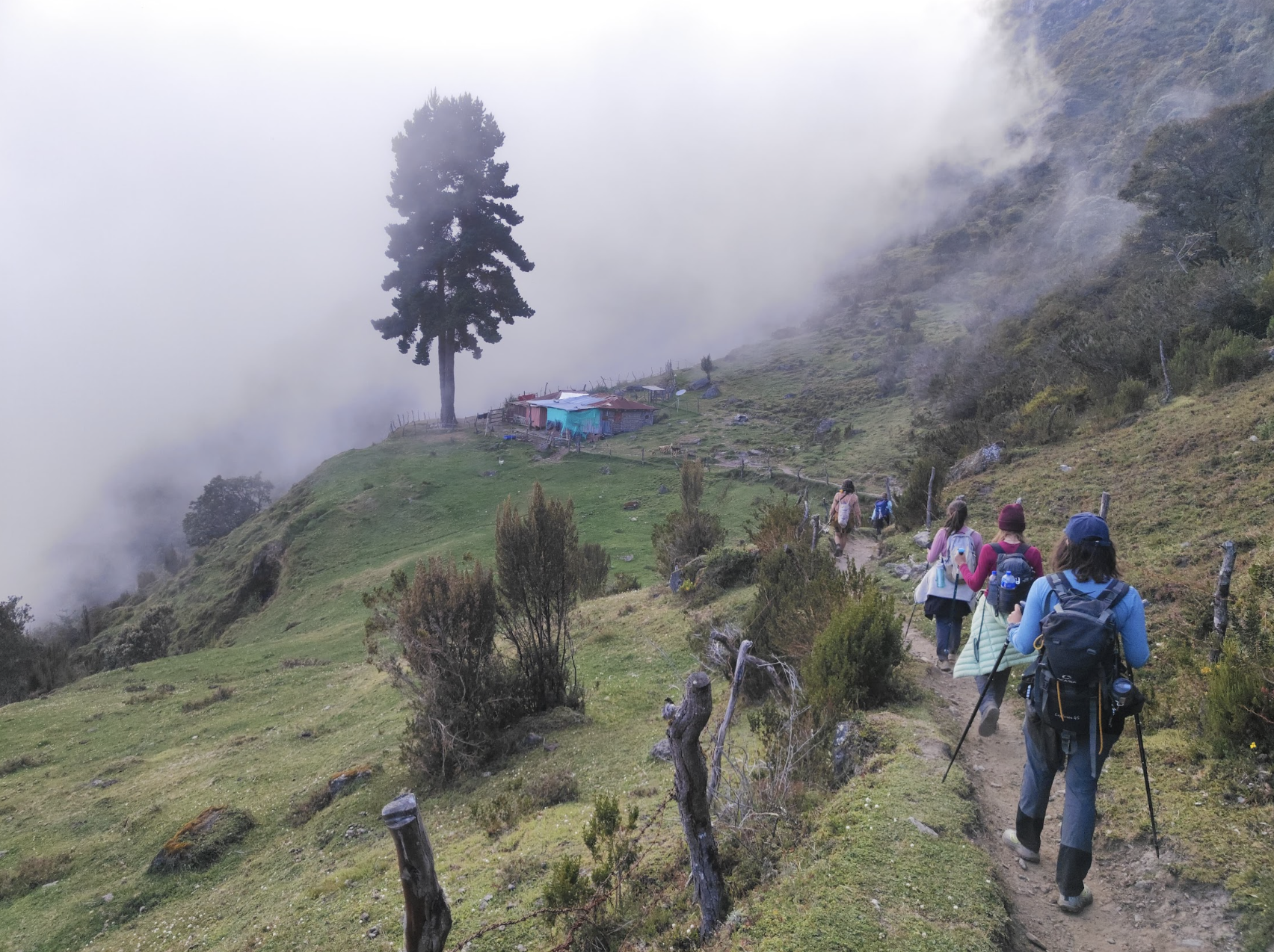 Paramillo del quindio ecotourspuravida trekking tours colombia.png