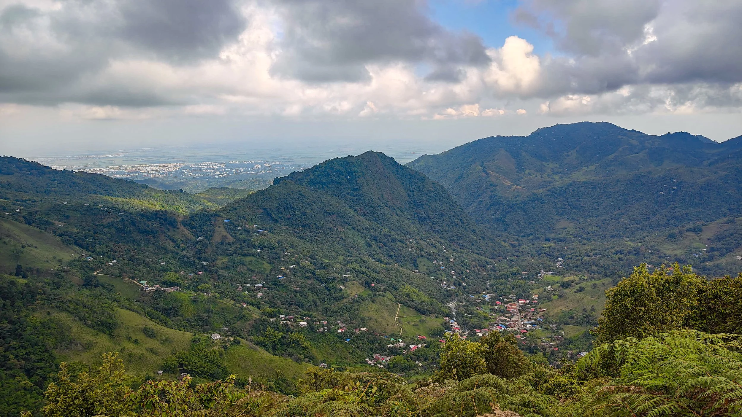 One of our hikers crossing a rustic bamboo bridge in the Farallones de Cali, adding a touch of local charm and adventure to the nature hike.