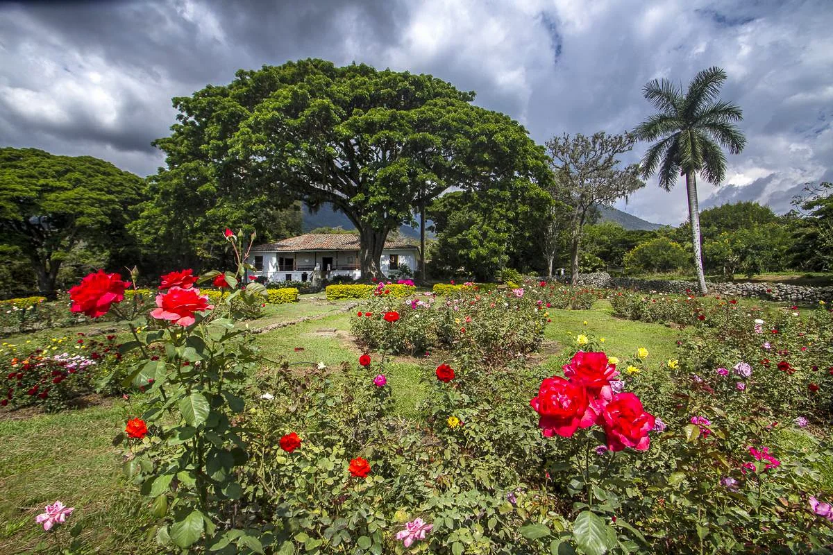 Hacienda el paraiso tours cali colombia nature valle del cauca-2.jpg