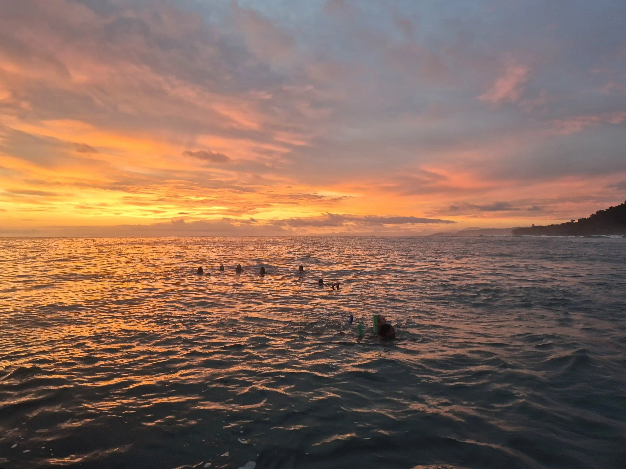 Costa Rica Sunset Cruise & Bioluminescence Adventure.jpg