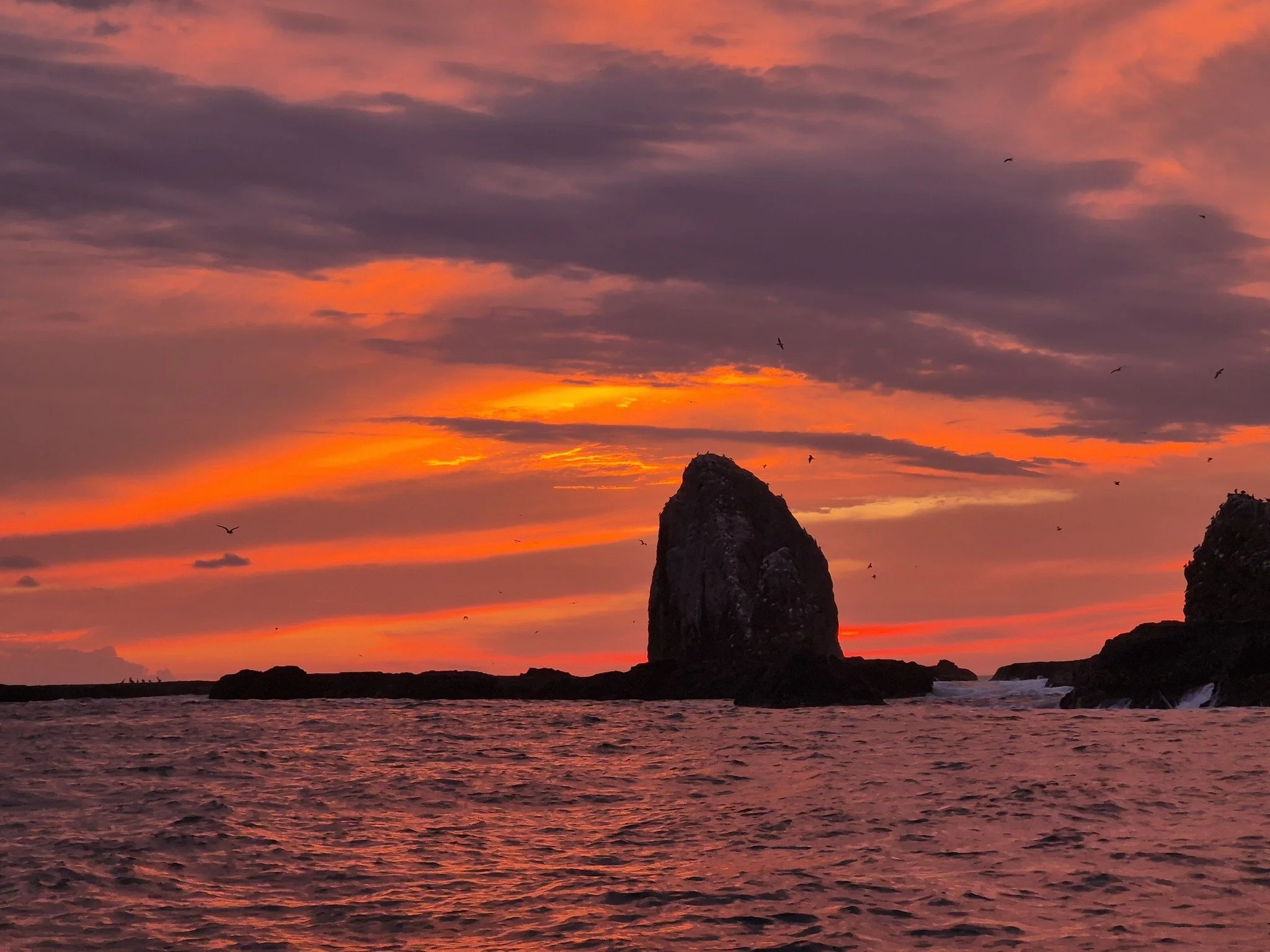 Costa Rica Cabo Blanco Sunset Fishing Ecotourspuravida nature Tours Fishing.jpg