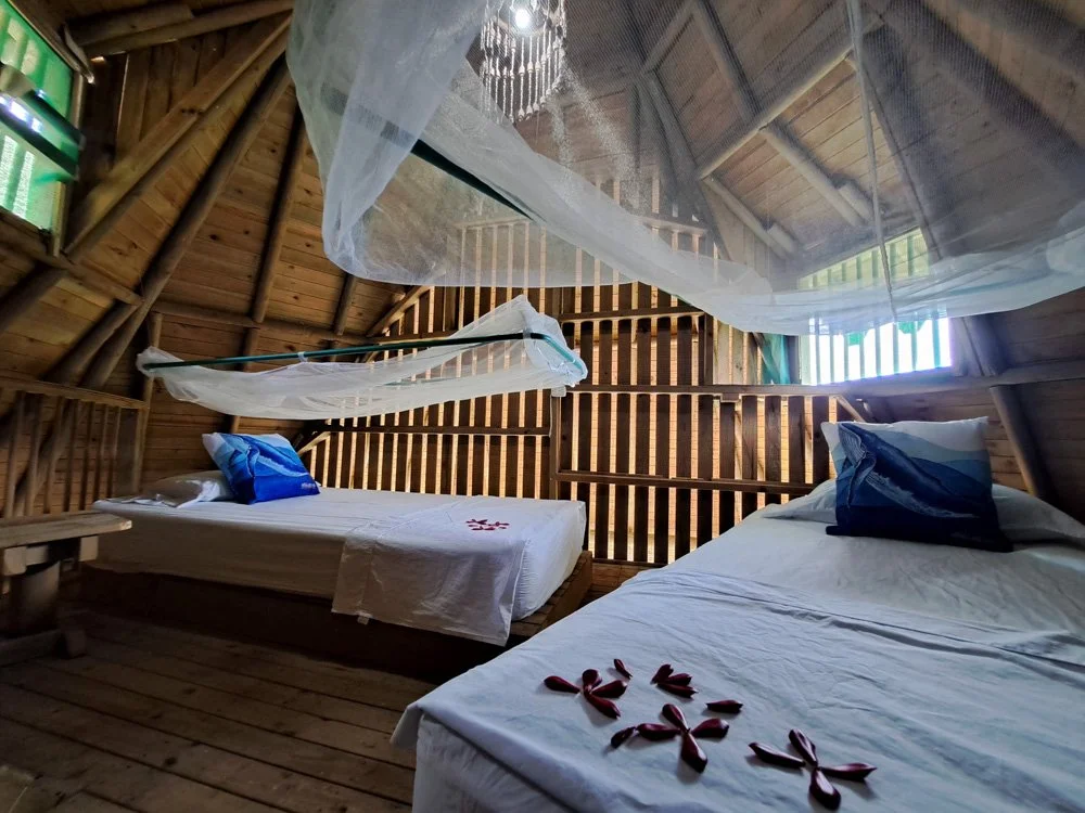 Two beds with white linens and blue pillows inside a wooden treehouse bedroom, decorated with flower petals on the beds and mosquito nets hanging from the ceiling.