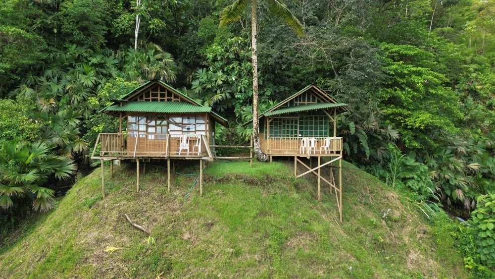 Two small wooden cottages with green roofs on a grassy hill surrounded by dense tropical jungle.