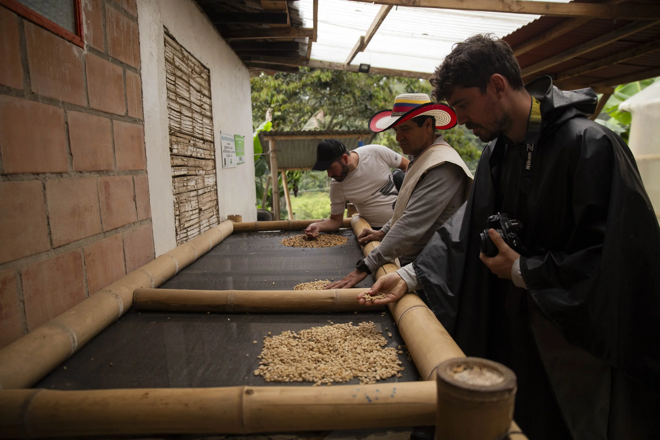 Coffee Beans Finca don Elias Tour Salento Colombia.jpg