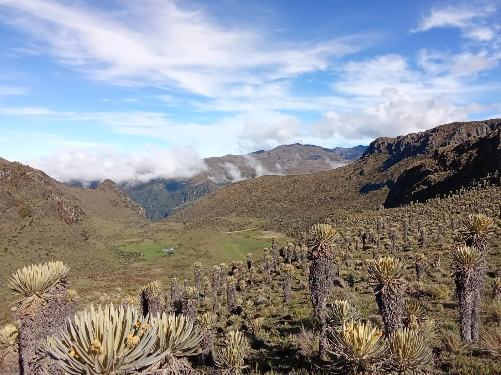 Discover the El Topacio Environmental Center in the Farallones de Cali, Colombia, featuring stunning nature, diverse wildlife, and vibrant biodiversity. Experience beautiful waterfalls and rivers with Ecotourspuravida on a day tour!