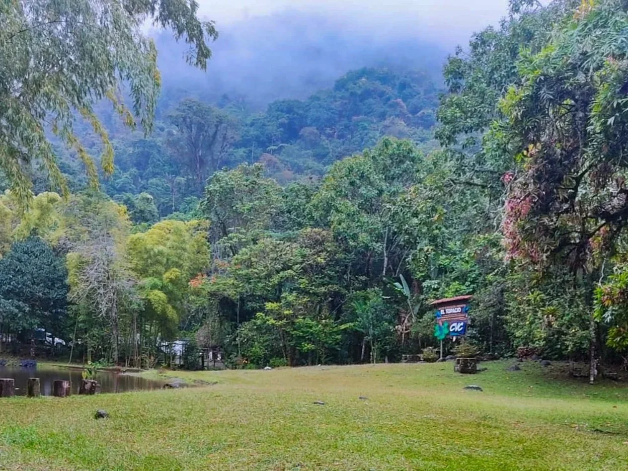A lush green park with a grassy area, surrounded by various trees and dense forest in the background, with a partly cloudy sky above.