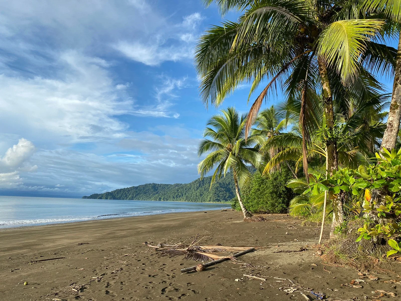 Playa Coqui La Baika Ecotourspuravida nature tours choco colombia.jpg