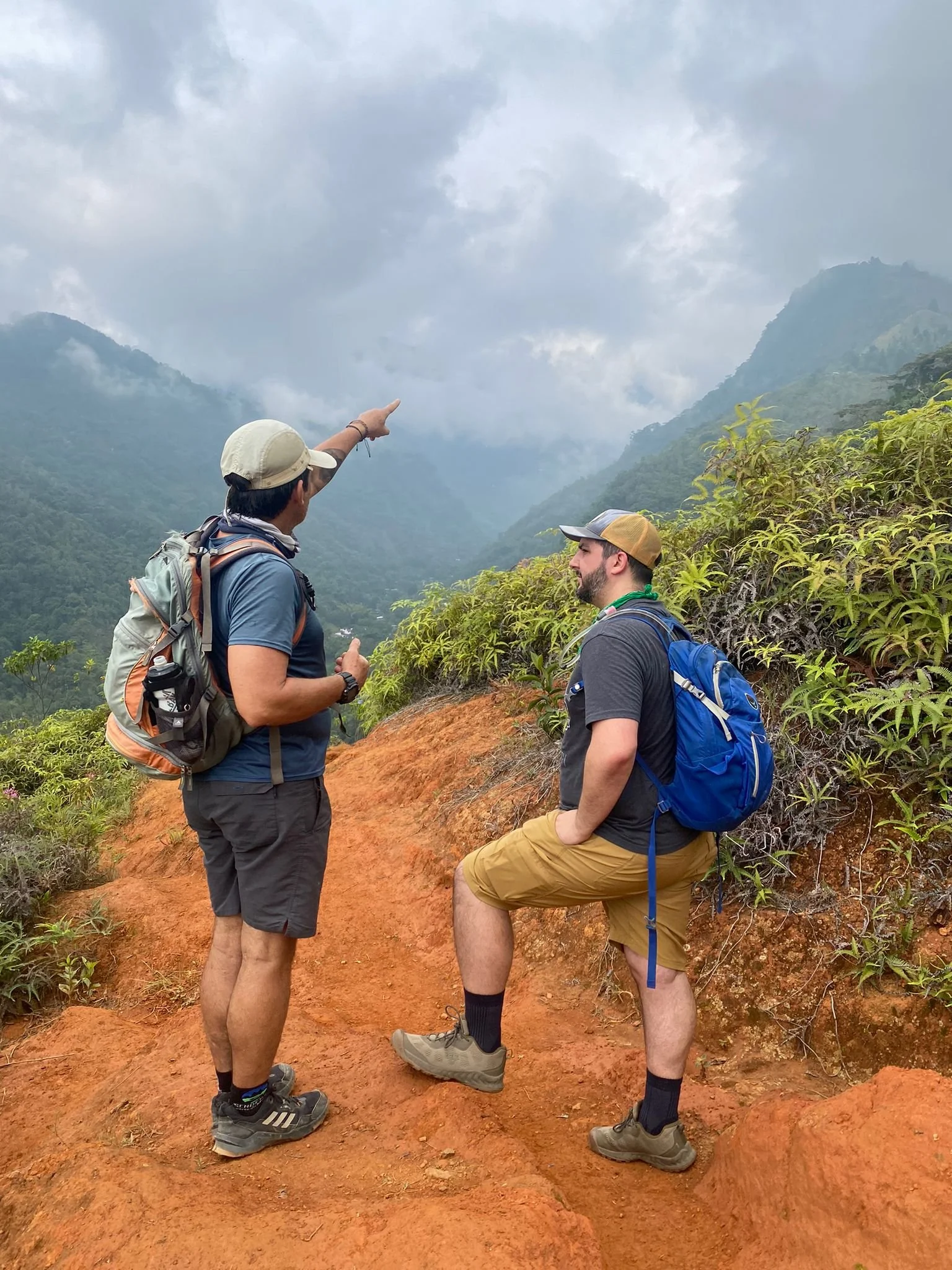 Two men with backpacks create a mountain trail in a lush landscape, engaging in conversation against a backdrop of mountains and cloudy sky.