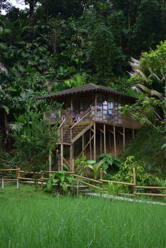 A stilted wooden house surrounded by lush green tropical vegetation with a hammock hanging on the porch.