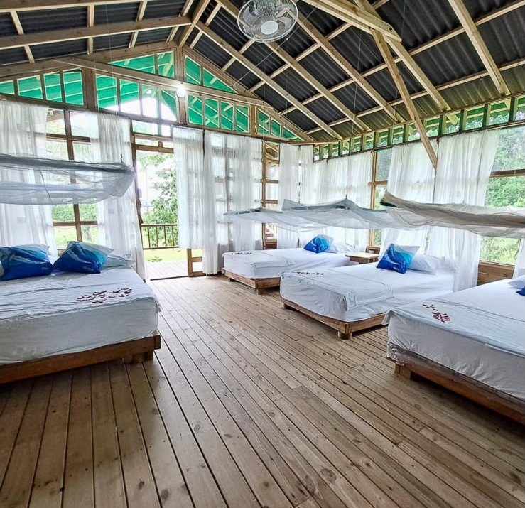 Four beds arranged in a rustic wooden cabin with white mosquito nets and blue pillows, overlooking a green outdoor landscape through large open windows.
