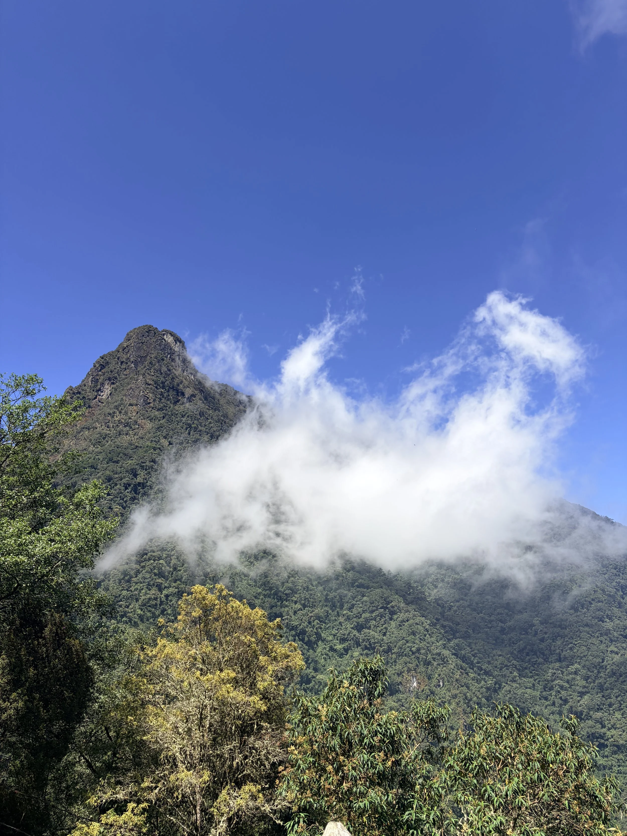 Mountain peak with lush green forest below, partly covered by white clouds, under a clear blue sky.