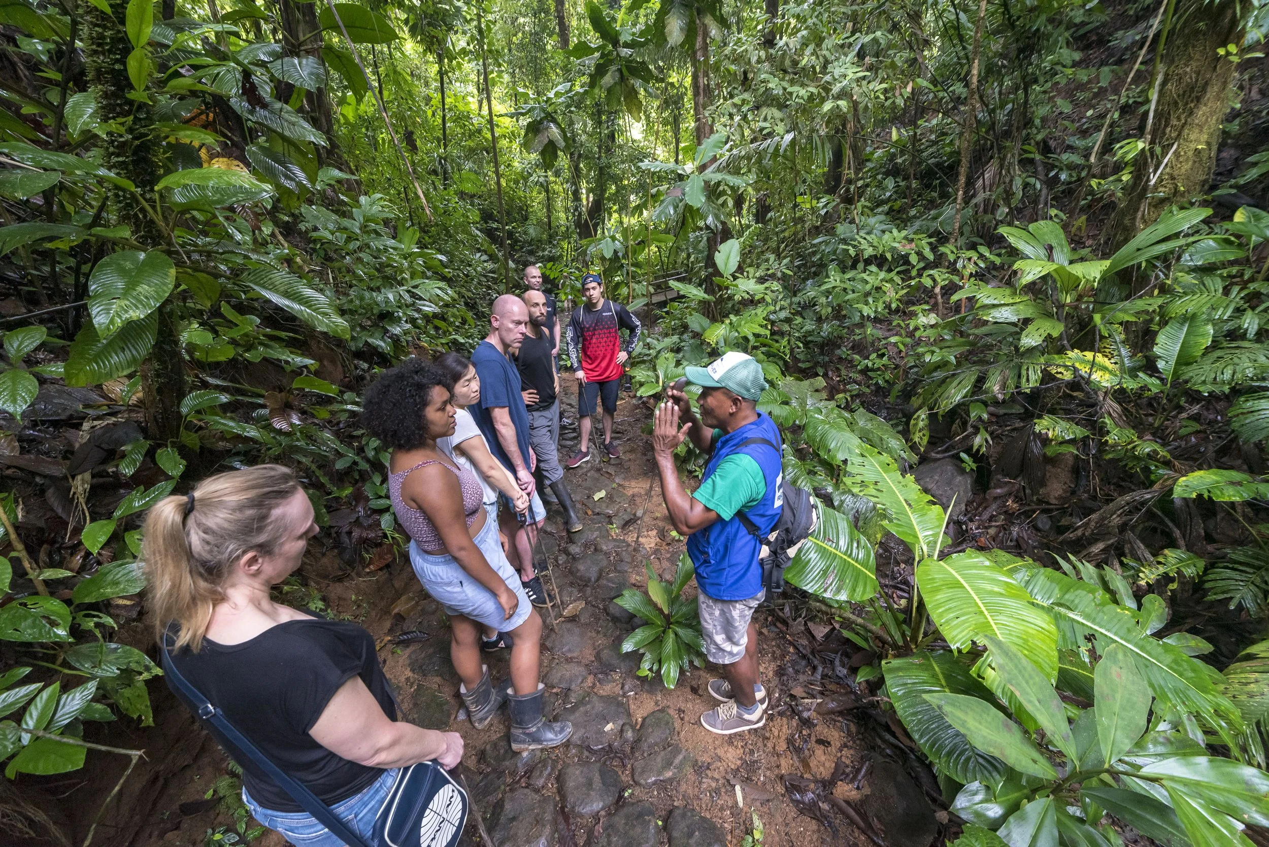 Jungle Treking el Almejal and Ecotourspuravida.jpg