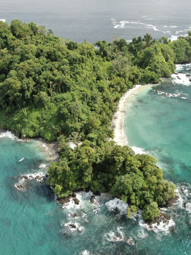 Utria Nationa Park Ecotourspuravida Nature Tours Cali Colombia Choco.png