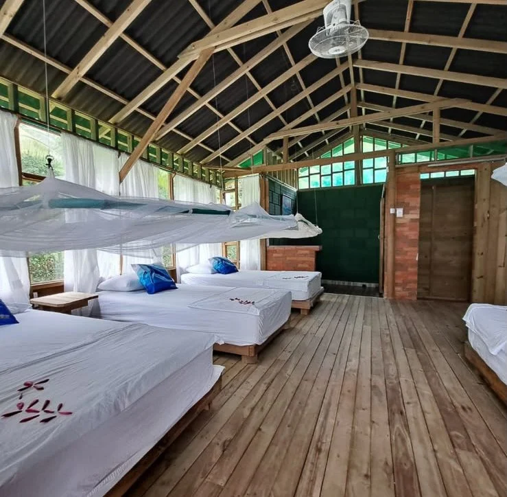 Four beds with white sheets and blue pillows inside a rustic wooden cabin with large windows, a ceiling fan, and a green wall.
