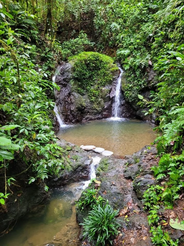 Cascada del amor La Baika Ecolodge Ecotourspuravida Nature Tours Choco Colombia.jpeg