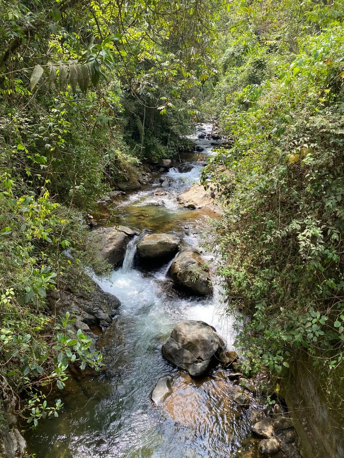 Crystal-clear waters of Río Pichindé, ideal for swimming and enjoying nature in the Farallones de Cali.