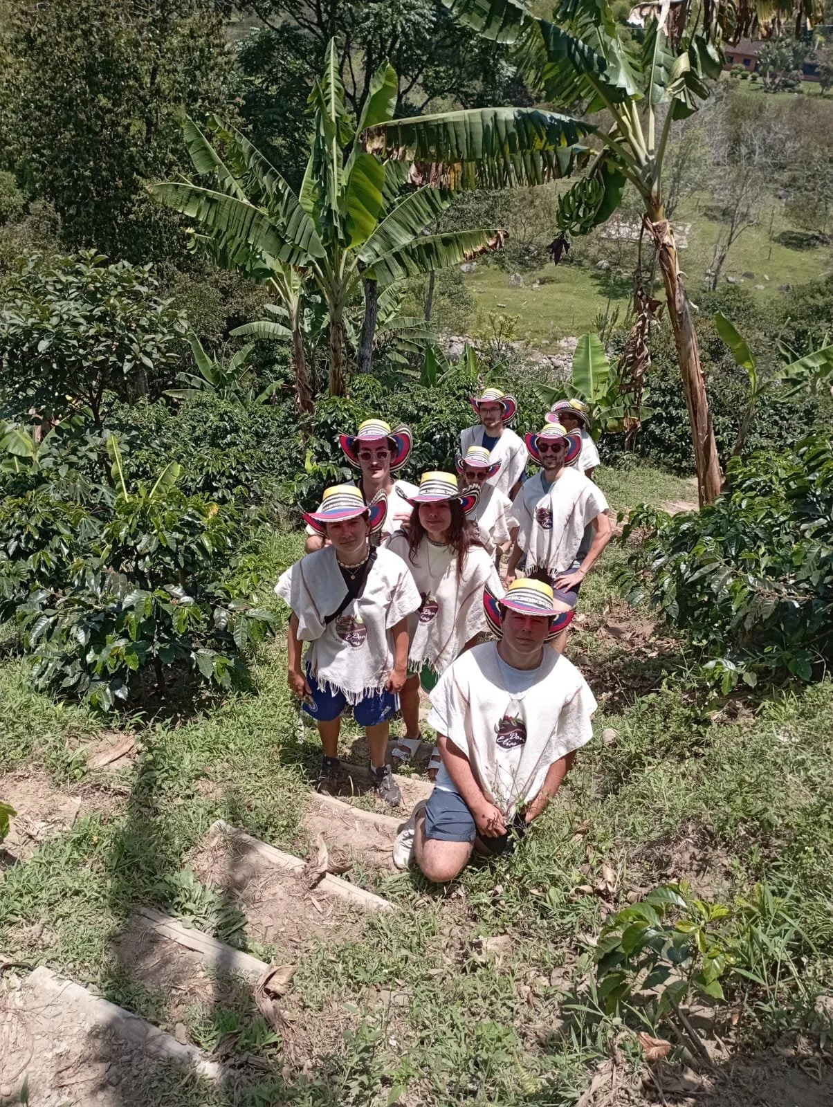 Finca don elias coffee tour salento quindio ecotourspuravida.jpeg