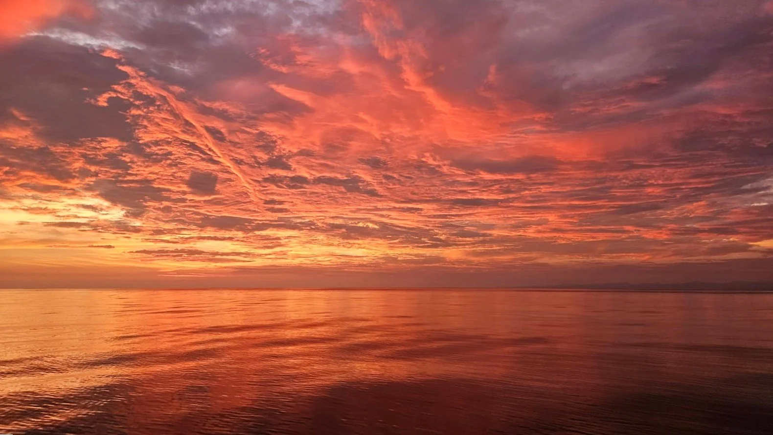 Costa Rica Sunset and Bioluminescence Tour Ecotourspuravida.jpg