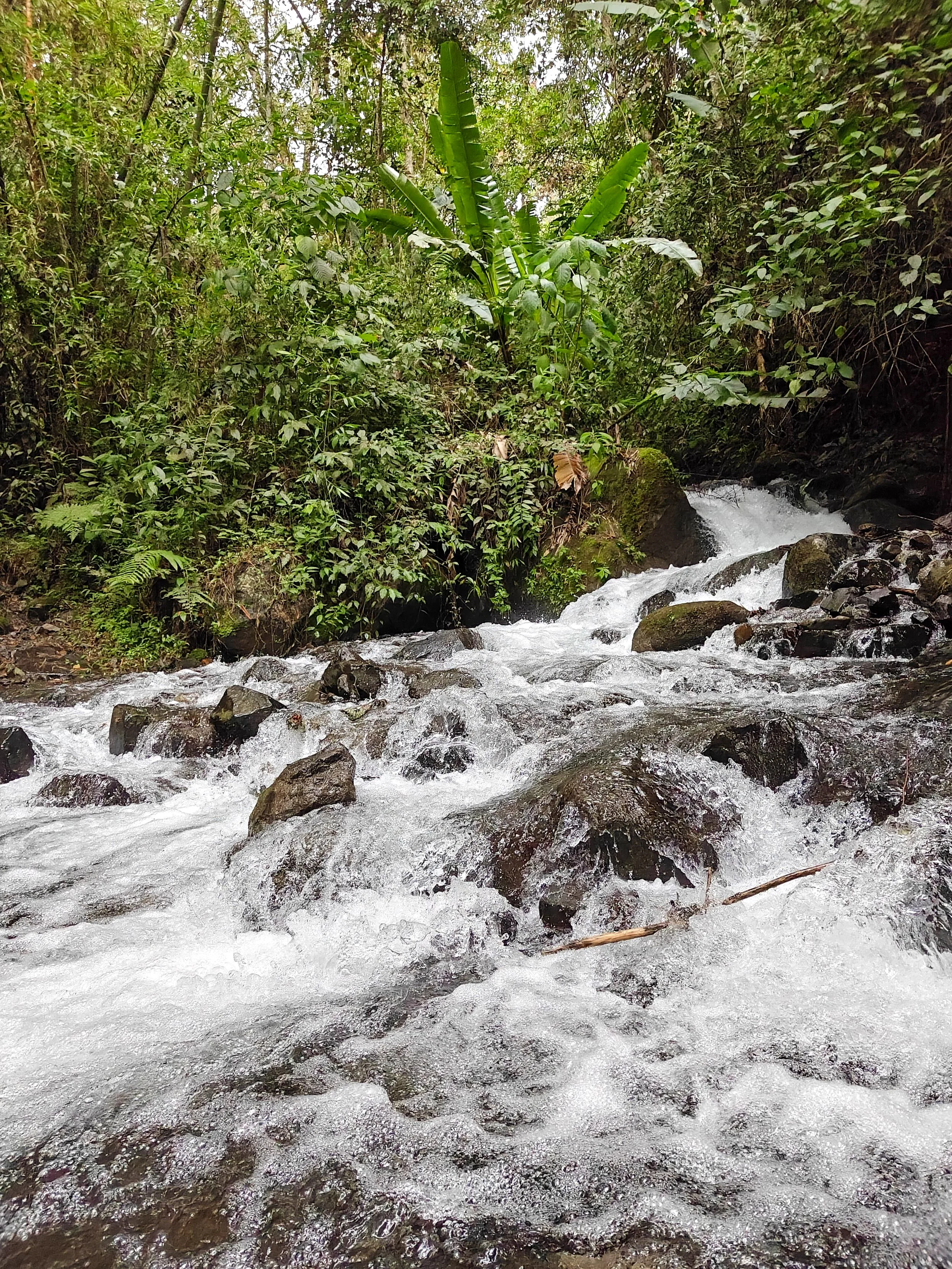 WhatsApp Image 2026-03-04 at 11.00.27.jpg