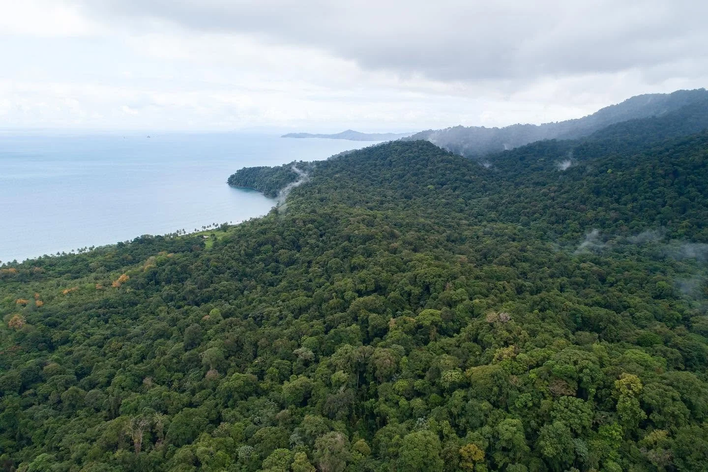Mecana Ecolodge Tropical Jungle Ecotourspuravida Nature Tours Choco Colombia.jpg
