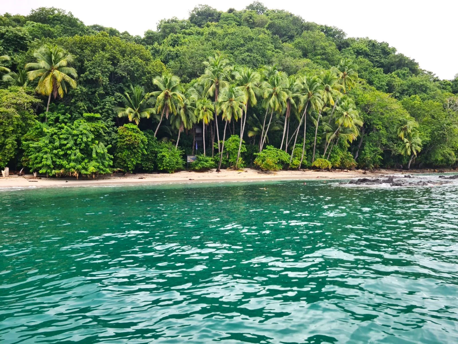 Costa Rica Playa muertos ecotourspuravida nature tours relax vacation.jpg