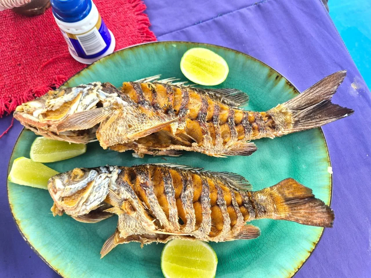 Costa Rica Fry Fish Tortuga Island Tour Ecotourspuravida Nature Tours.jpg