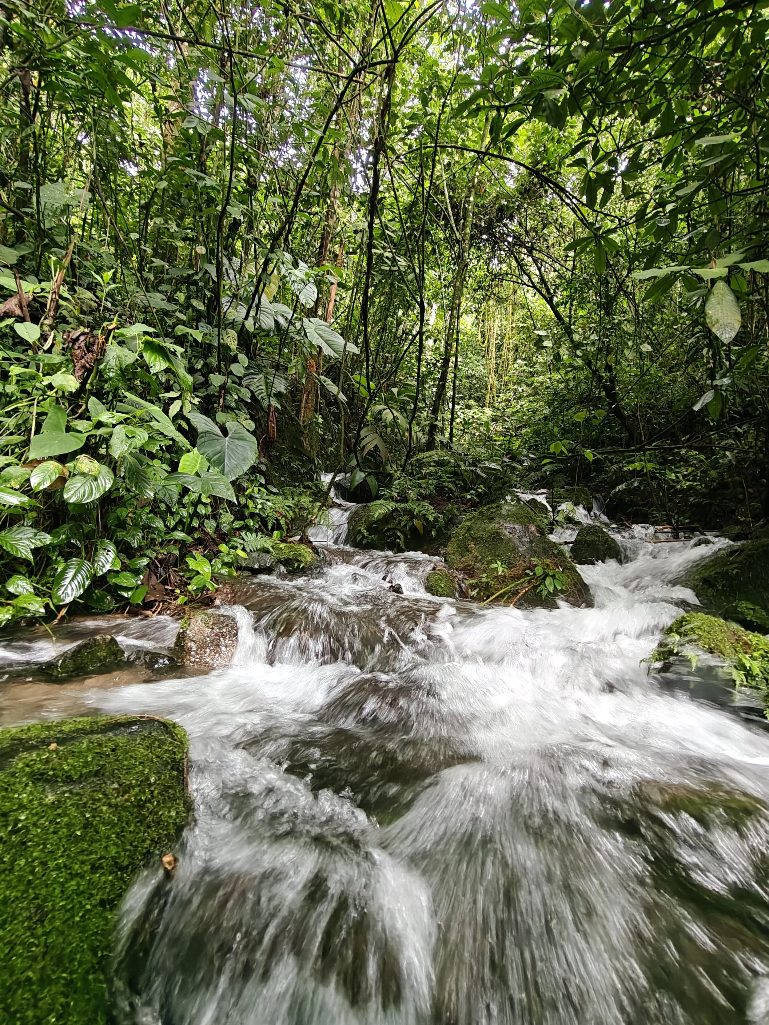 WhatsApp Image 2026-02-07 at 15.11.22.jpeg