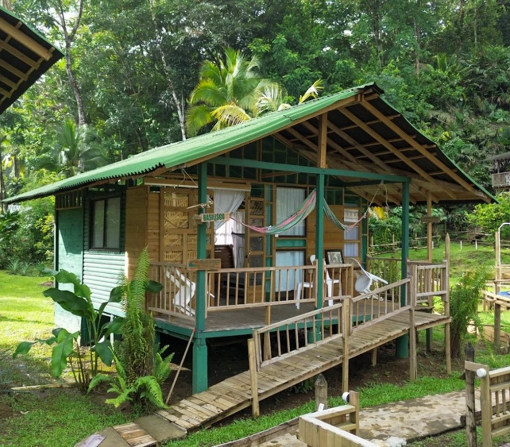 A wooden house with a green metal roof, surrounded by lush green tropical plants and trees, with a front porch and a ramp for access.