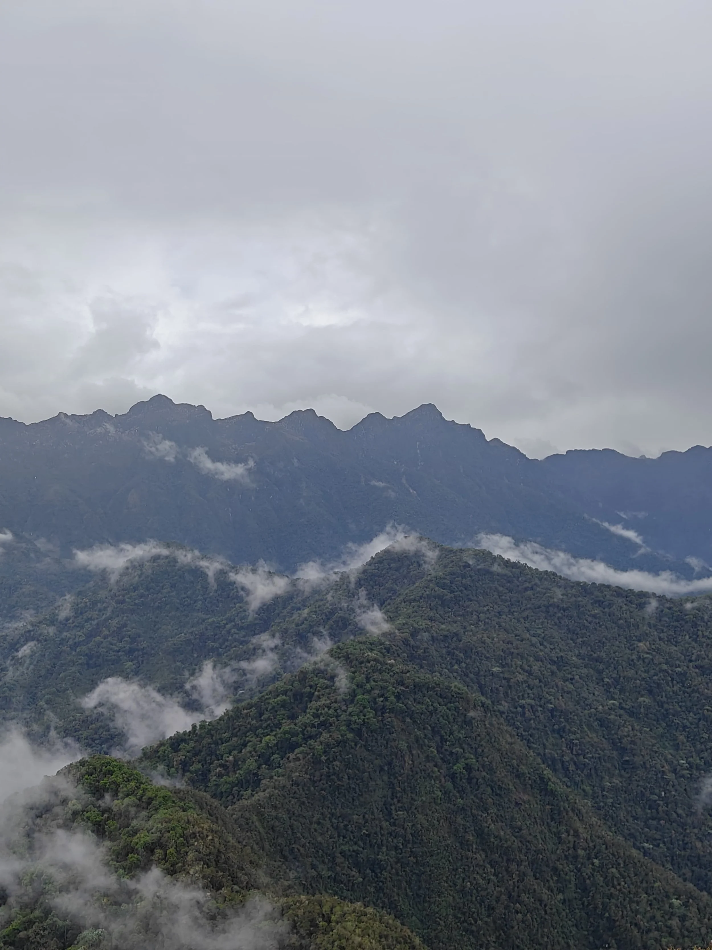 Cloudy mountain landscape with peaks in the distance and lush green forested slopes in the foreground, some low-lying fog around the trees.