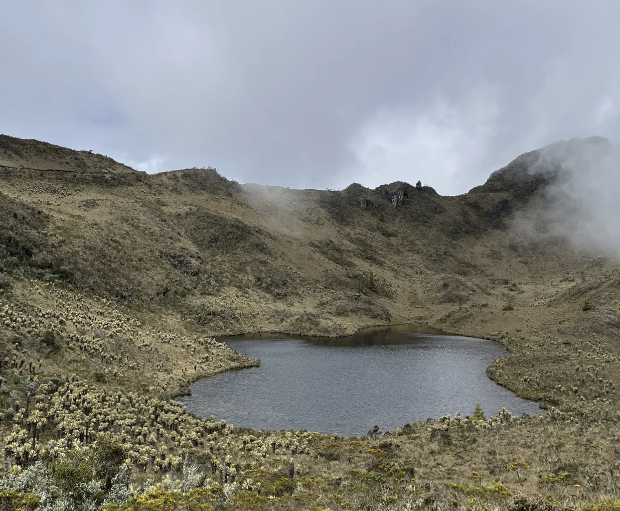 A mountain landscape with a small lake in the foreground surrounded by dry, sparse vegetation and cacti, under a cloudy sky with mist or fog over the mountains.