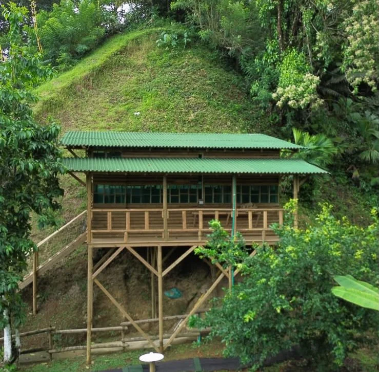 A wooden house built on stilts on a hillside, surrounded by lush green trees and plants, with a green corrugated metal roof and a wraparound porch.