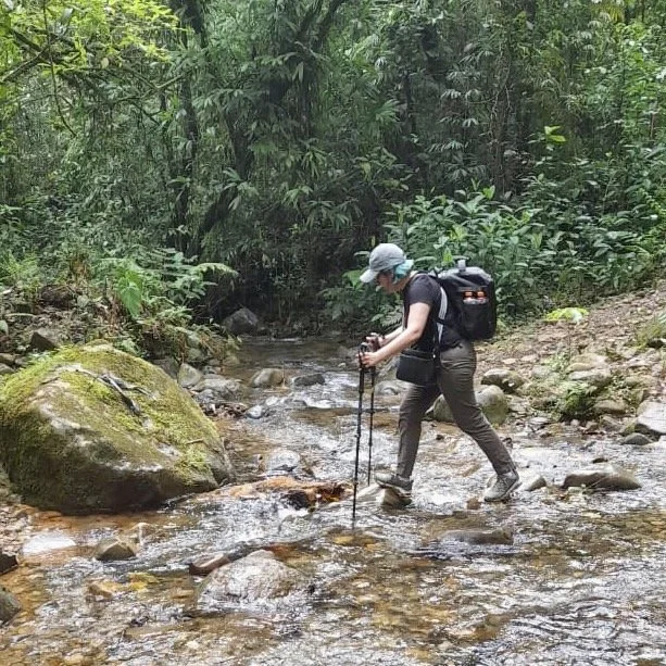 A person hiking across a shallow creek in a lush green forest, wearing a cap, mask, backpack, and trekking poles.