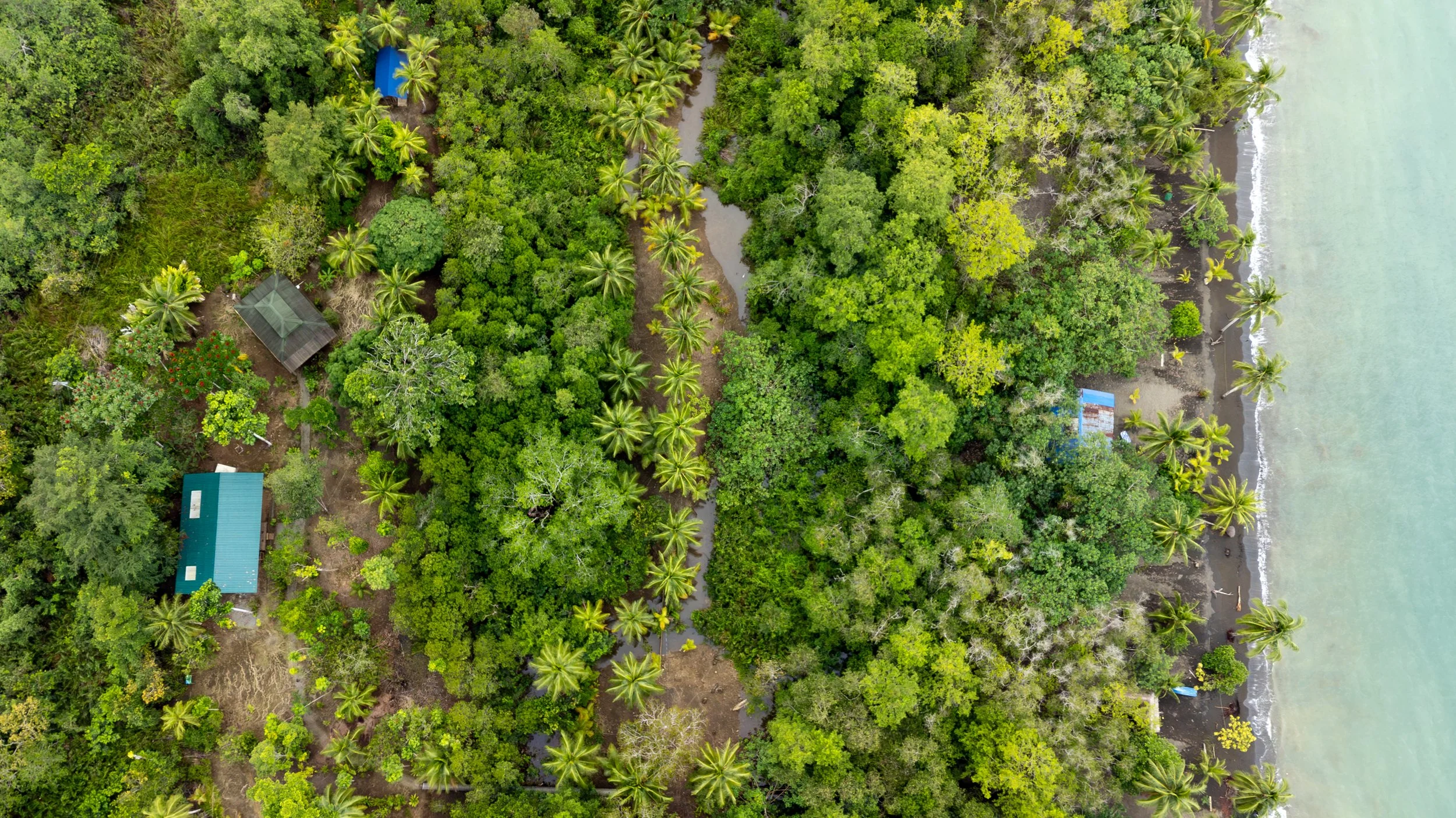 Aerial view of a lush coastal area with dense green trees, palm trees, small buildings with metal roofs, and a narrow path running through the forest to the beach along the shoreline with gentle waves.