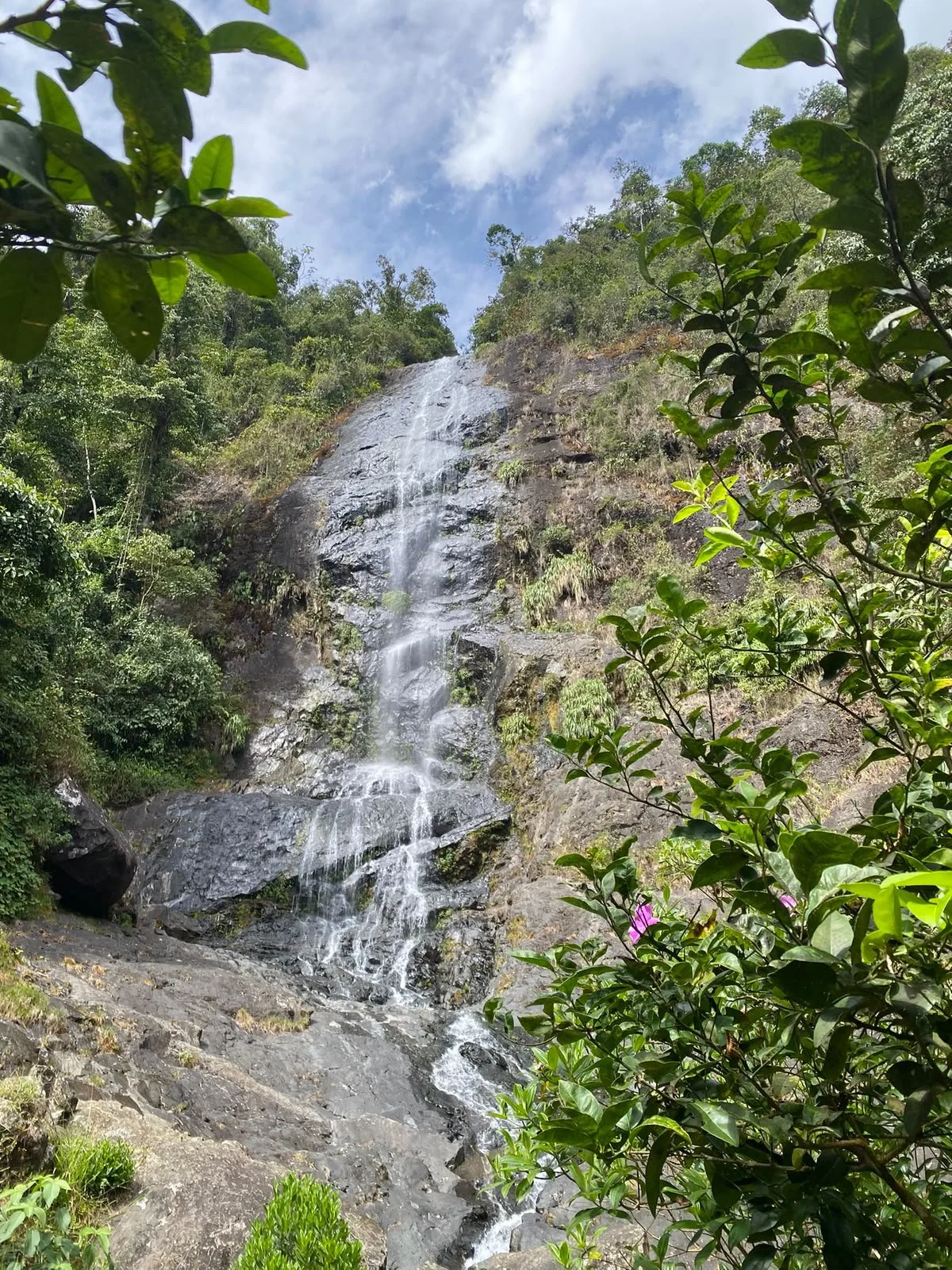 El Topacio Waterfall Ecotourspuravida
