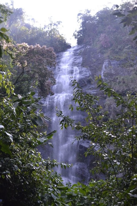 A waterfall cascading down a rocky cliff surrounded by lush green trees and foliage.