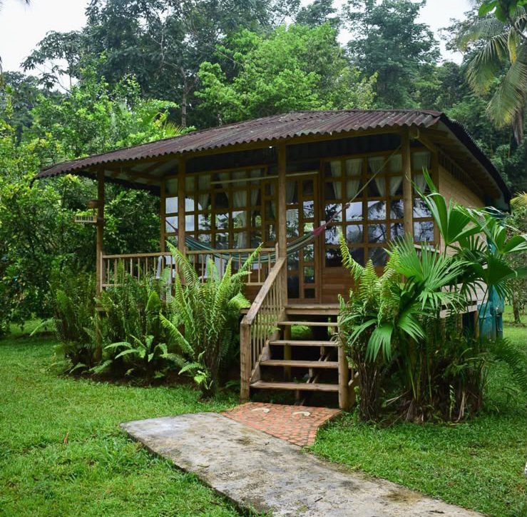 A small wooden house with a corrugated metal roof, surrounded by lush green tropical plants, with a hammock on the porch and stairs leading up to the entrance, set in a forested area.