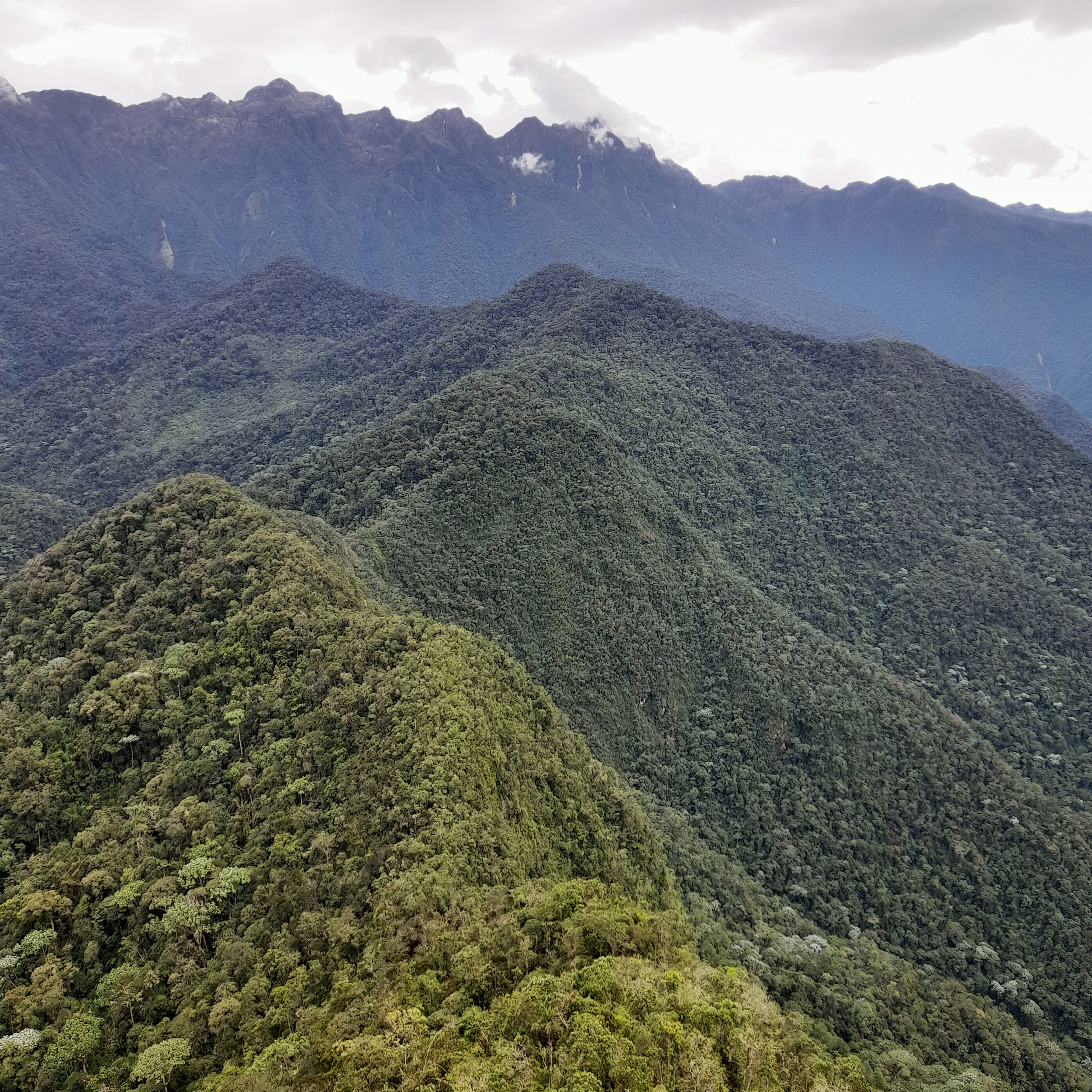 Photo of lush green mountains with forested slopes and cloudy sky in the background.