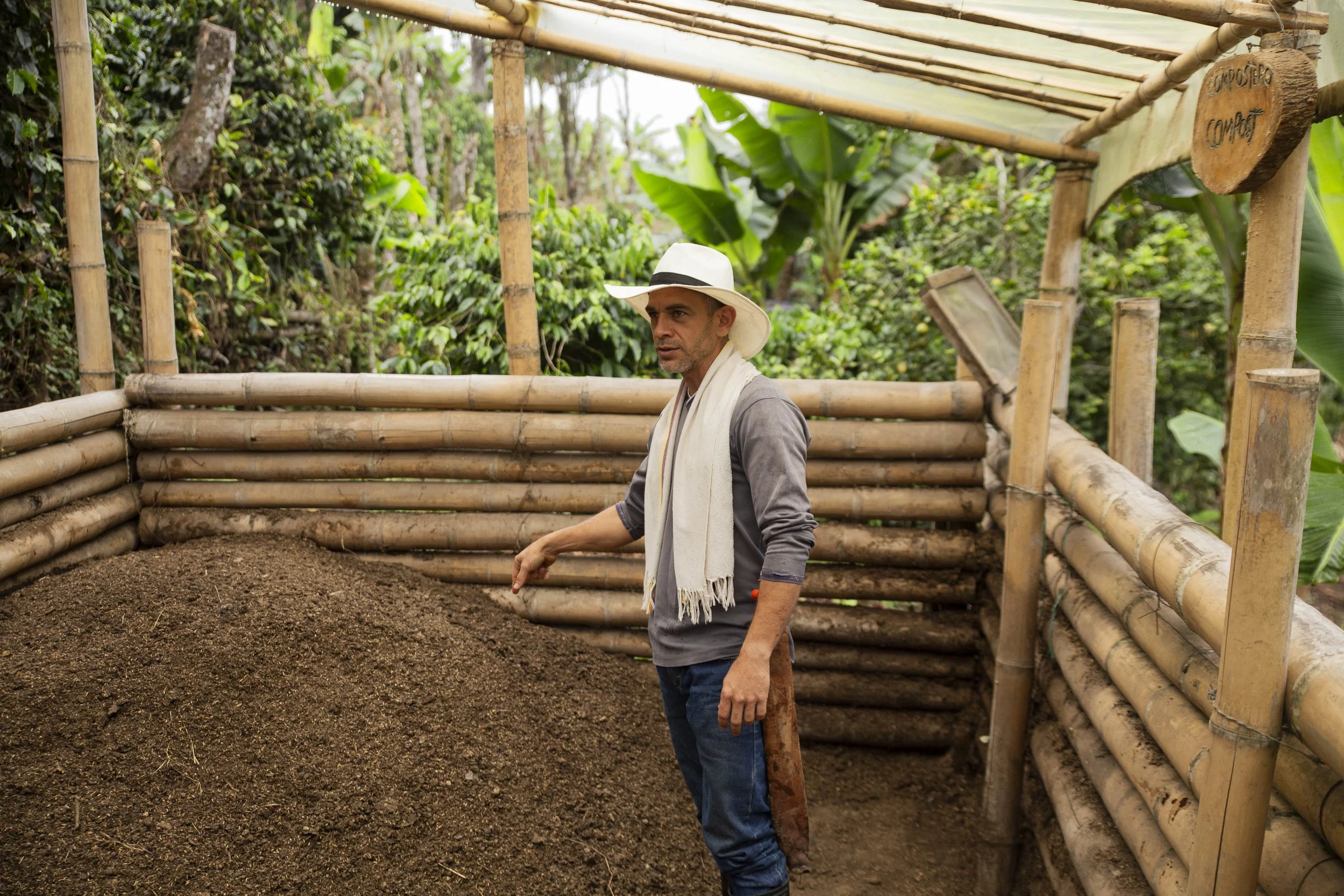 Coffee Beans Finca Don Elias Salento Colombia.jpg