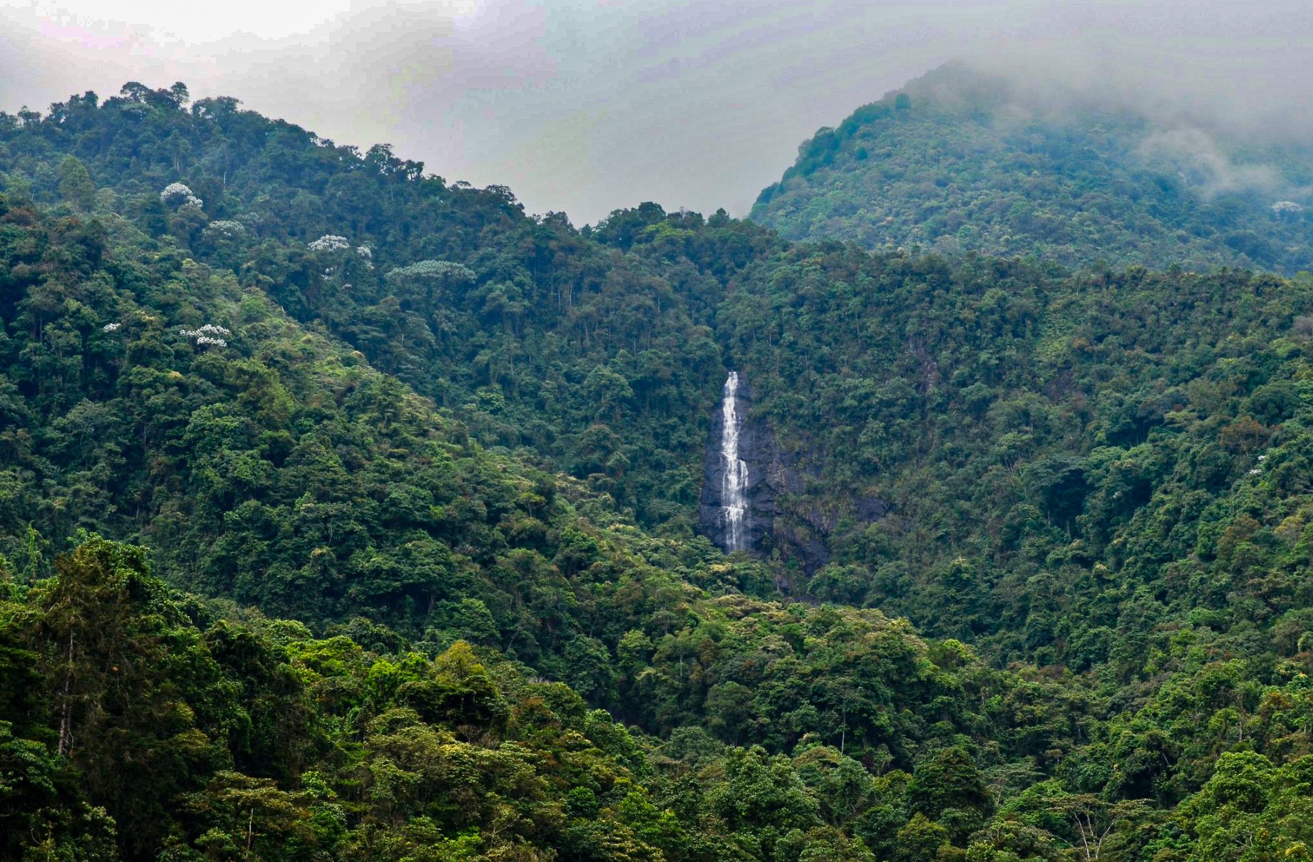 Lush green mountain landscape with a tall, narrow waterfall flowing down the rocky cliff face, surrounded by dense forest and misty clouds.